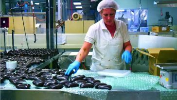 阿德萊德一日游 山頂瞭望臺(tái)、野生動(dòng)物園、德國(guó)村、黑氏巧克力與格雷爾海灘之旅