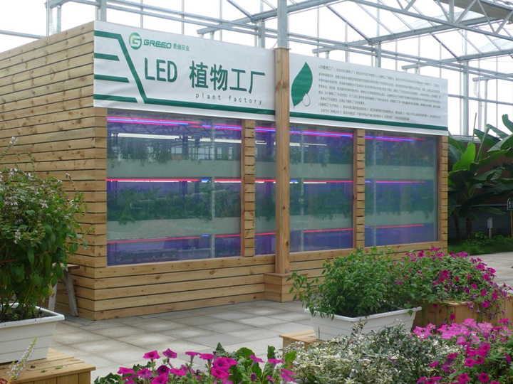科技賦能沃土，綠滿通州菜園——南通通州科技與農業深度融合走出綠色致富新路徑